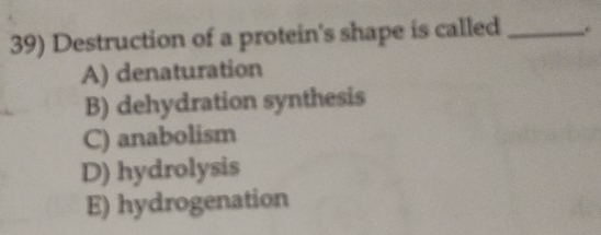 Destruction of a protein's shape is called _.
A) denaturation
B) dehydration synthesis
C) anabolism
D) hydrolysis
E) hydrogenation