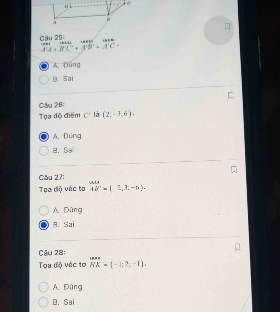 A'A+B'C'+A'B'=A'C'+
A. Đúng
B. Sai
Câu 26:
Tọa độ điểm C' là (2;-3;6).
A. Đúng
B. Sai
Câu 27:
Tọa độ véc to beginarrayr uun AB'=(-2;3;-6).endarray
A. Đúng
B. Sai
Câu 28:
Tọa độ véc tơ HK=u HKendarray =(-1;2;-1).
A. Đúng
B. Sai