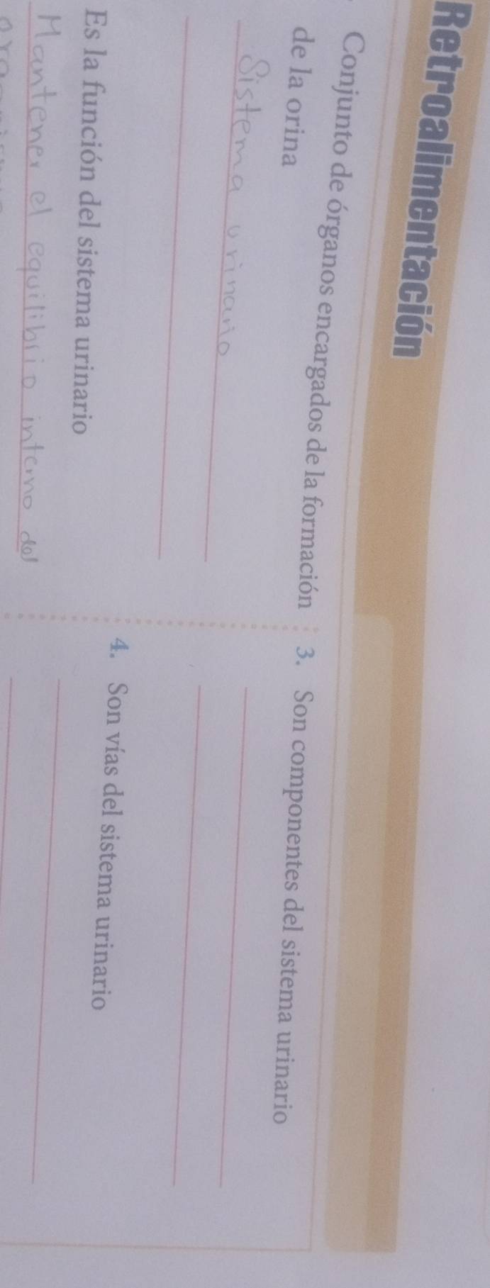 Retroalimentación 
Conjunto de órganos encargados de la formación 3. Son componentes del sistema urinario 
de la orina 
_ 
_ 
_ 
_ 
4. Son vías del sistema urinario 
Es la función del sistema urinario 
_ 
_ 
_