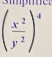 ( (x^(-2))/y^2 )^4