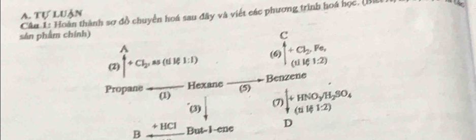 Tự luận 
Cân 1: Hoàn thành sợ đồ chuyển hoá sau đây và viết các phương trình hoá học, (Bib 
CC 
sản phẩm chính) 
(2) widehat |+Cl+,as(tiis(1(tile).I)
beginarrayr C (beginarrayr C +Cendarray )beginarrayr Fe, (1141.2)endarray
Benzene 
Hexane (5) )downarrow +HNO_3surd H_2SO_4
Propane (1) 
(3) 
, 
^ 
+ HCl 
B But -1 -ene