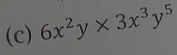 6x^2y* 3x^3y^5