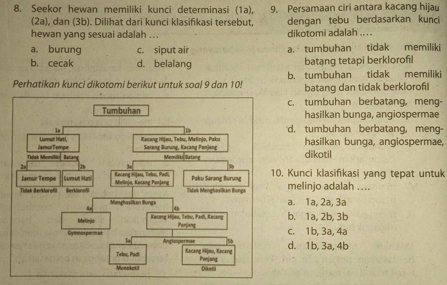 Seekor hewan memiliki kunci determinasi (1a), 9. Persamaan ciri antara kacang hijau
(2a), dan (3b). Dilihat dari kunci klasifkasi tersebut, dengan tebu berdasarkan kunci
hewan yang sesuai adalah ... dikotomi adalah .. . .
a. burung c. siput air a. tumbuhan tidak memiliki
b. cecak d. belalang batạng tetapi berklorofil
b. tumbuhan tidak memiliki
Perhatikan kunci dikotomi berikut untuk soal 9 dan 10!
batang dan tidak berklorofil
c. tumbuhan berbatang, meng-
hasilkan bunga, angiospermae
d. tumbuhan berbatang, meng-
hasilkan bunga, angiospermae,
dikotil
. Kunci klasifıkasi yang tepat untuk
melinjo adalah …...
a. 1a, 2a, 3a
b. 1a, 2b, 3b
c. 1b, 3a, 4a
d. 1b, 3a, 4b