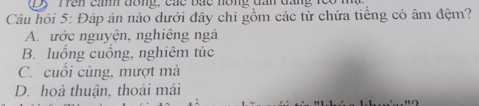 Ten canh đồng, các bắc nồng đan đang reo n
Câu hỏi 5: Đáp án nào dưới đây chỉ gồm các từ chứa tiếng có âm đệm?
A. ước nguyện, nghiêng ngả
B. luồng cuồng, nghiêm túc
C. cuối cùng, mượt mà
D. hoà thuận, thoải mái