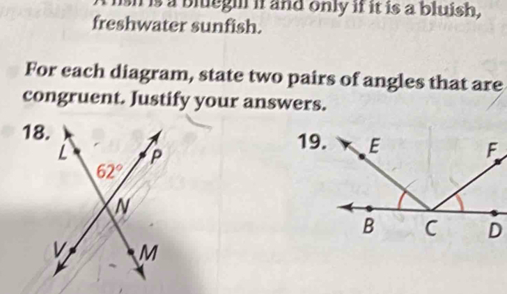 lish is a blueghf if and only if it is a bluish,
freshwater sunfish.
For each diagram, state two pairs of angles that are
congruent. Justify your answers.
18.
19.