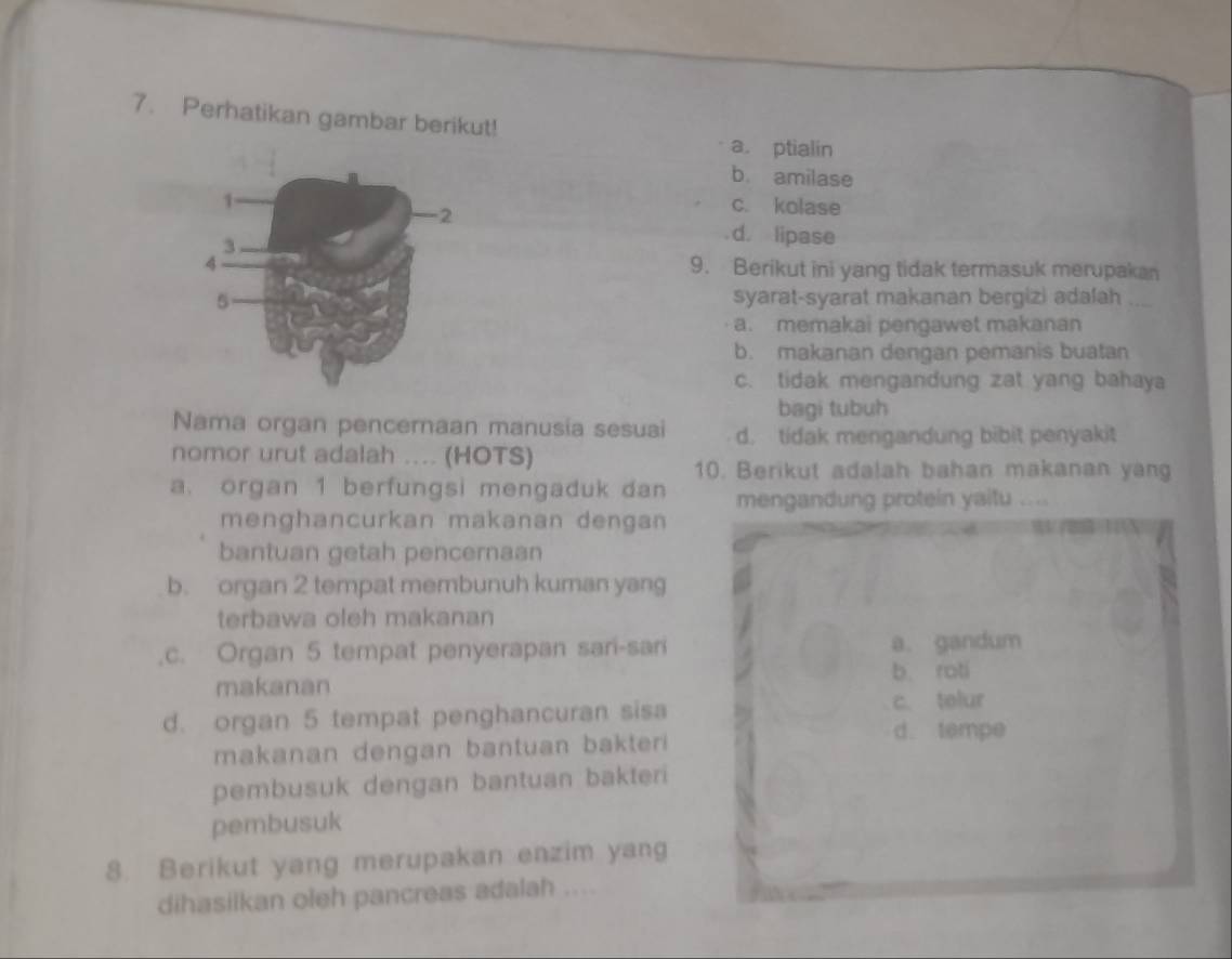 Perhatikan gambar berikut!
a. ptialin
b. amilase
c. kolase
. d. lipase
9. Berikut ini yang tidak termasuk merupakan
syarat-syarat makanan bergizi adalah
a. memakai pengawet makanan
b. makanan dengan pemanis buatan
c. tidak mengandung zat yang bahaya
bagi tubuh
Nama organ pencernaan manusia sesuai d. tidak mengandung bibit penyakit
nomor urut adalah .... (HOTS)
10. Berikut adalah bahan makanan yang
a. organ 1 berfungsi mengaduk dan mengandung protein yaitu ....
menghancurkan makanan dengan
bantuan getah pencernaan
b. organ 2 tempat membunuh kuman yang
terbawa oleh makanan
,c. Organ 5 tempat penyerapan sari-sari a. gandum
makanan b roti
d. organ 5 tempat penghancuran sisa c. telur
d. tempe
makanan dengan bantuan bakteri 
pembusuk dengan bantuan bakteri
pembusuk
8. Berikut yang merupakan enzim yang
dihasilkan oleh pancreas adalah ....