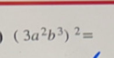 (3a^2b^3)^2=