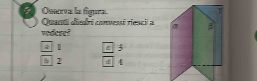 Osserva la figura
Quanti diedri convessi riesci a
vedere?
a 1 c 3
2 d 4