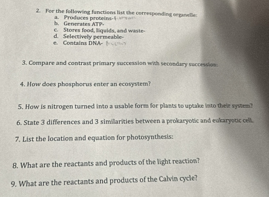 For the following functions list the corresponding organelle: 
a. Produces proteins- 
b. Generates ATP- 
c. Stores food, liquids, and waste- 
d. Selectively permeable- 
e. Contains DNA- 
3. Compare and contrast primary succession with secondary succession: 
4. How does phosphorus enter an ecosystem? 
5. How is nitrogen turned into a usable form for plants to uptake into their system? 
6. State 3 differences and 3 similarities between a prokaryotic and eukaryotic cell. 
7. List the location and equation for photosynthesis: 
8. What are the reactants and products of the light reaction? 
9. What are the reactants and products of the Calvin cycle?