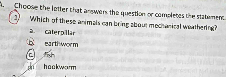 Choose the letter that answers the question or completes the statement.
1 Which of these animals can bring about mechanical weathering?
a. caterpillar
b earthworm
c fish
hookworm