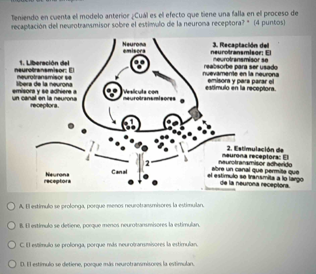 Teníendo en cuenta el modelo anterior ¿Cuál es el efecto que tiene una falla en el proceso de
recaptación del neurotransmisor sobre el estímulo de la neurona receptora? * (4 puntos)
ión del
isor: El
isor se
1 ser usado
neurotransmisor: El la neurona
na parar el
lireceptora.
emisora y se adhiere a
un canal en la neurona
mulación de
receptora: El
smisor adherido
l que permite que
transmita a lo largo
rona receptora.
A. El estímulo se prolonga, porque menos neurotransmisores la estimulan.
B. El estímulo se detiene, porque menos neurotransmisores la estimulan.
C. El estímulo se prolonga, porque más neurotransmisores la estimulan.
D. El estímulo se detiene, porque más neurotransmisores la estimulan.