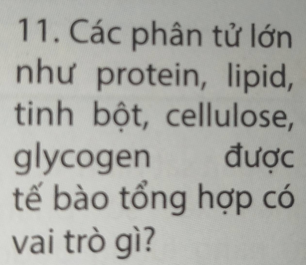 Các phân tử lớn 
như protein, lipid, 
tinh bột, cellulose, 
glycogen được 
tế bào tổng hợp có 
vai trò gì?