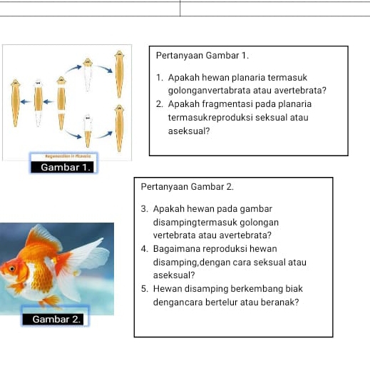 Pertanyaan Gambar 1. 
1. Apakah hewan planaria termasuk 
golonganvertabrata atau avertebrata? 
2. Apakah fragmentasi pada planaria 
termasukreproduksi seksual atau 
aseksual? 
Pertanyaan Gambar 2. 
3. Apakah hewan pada gambar 
disampingtermasuk golongan 
vertebrata atau avertebrata? 
4. Bagaimana reproduksi hewan 
disamping,dengan cara seksual atau 
aseksual? 
5. Hewan disamping berkembang biak 
dengancara bertelur atau beranak?