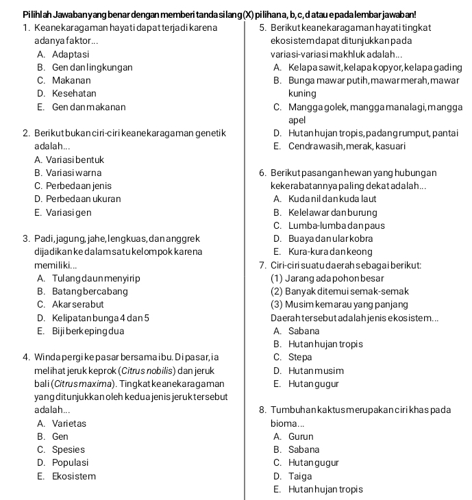 Pi lihlah Jawaban y ang benar dengan memberi tanda si lang (X) pi lihan a, b, c, d atau epada lembar jawaban!
1. Keanekaragaman hayatidapatterjadikarena 5. Berikutkeanekaragamanhayatitingkat
adanya faktor... ekosistem dapat ditunjukkanpada
A. Adaptasi variasi-variasi makhluk adalah...
B. Gen danlingkungan A. Kelapa saw it, kelapakopyor, kelapagading
C. Makanan B. Bunga mawarputih, mawarmerah, mawar
D. Kesehatan kuning
E. Gendanmakanan C. Mangga golek, mangga manalagi, mangga
apel
2. Berikut bukan ciri-cirikeane kar agamangenetik D. Hutan hujan tropis,padang rumput, pantai
adalah... E. Cendrawasih, merak, kasuari
A. Variasibentuk
B. Variasiwarna 6. Berikutpasangan hewan yanghubungan
C. Perbedaan jenis kekerabatannyapaling dekatadalah...
D. Perbedaan ukuran A. Kudanildankuda laut
E. Variasigen B. Kelelawar danburung
C. Lumba-lumbadanpaus
3. Padi, jagung, jahe,lengkuas, dan anggrek D. Buaya dan ularkobra
dijadikanke dalam satukel om pok karena E. Kura-kura dan keong
memiliki... 7. Ciri-ciri suatu daerah sebaga i berikut:
A. Tul ang da un menyi rip (1) Jarang adapohon besar
B. Batang bercabang (2) Banyak ditemui semak-semak
C. Akar serabut (3) Musim kemarau yang panjang
D. Kelipatan bunga 4 dan 5 Daerah ter sebut adalah jenis ekos istem...
E. Bijiberkeping dua A. Sabana
B. Hutan hujan tropis
4. Windapergike pasar bersamaibu. Dipasar,ia C. Stepa
melih at jeruk keprok (Citrus nobilis) dan jeruk D. Hutanmusim
bal i (Citrus maxima). Tingkat ke an ekaragaman E. Hutangugur
yang ditunjukkan oleh keduajen is jeruktersebut
adalah... 8. Tumbuhankaktus merupakancirikhas pada
A. Varietas bioma...
B. Gen A. Gurun
C. Spesies B. Sabana
D. Populasi C. Hutangugur
E. Ekosistem D. Taiga
E. Hutan hujan tropis