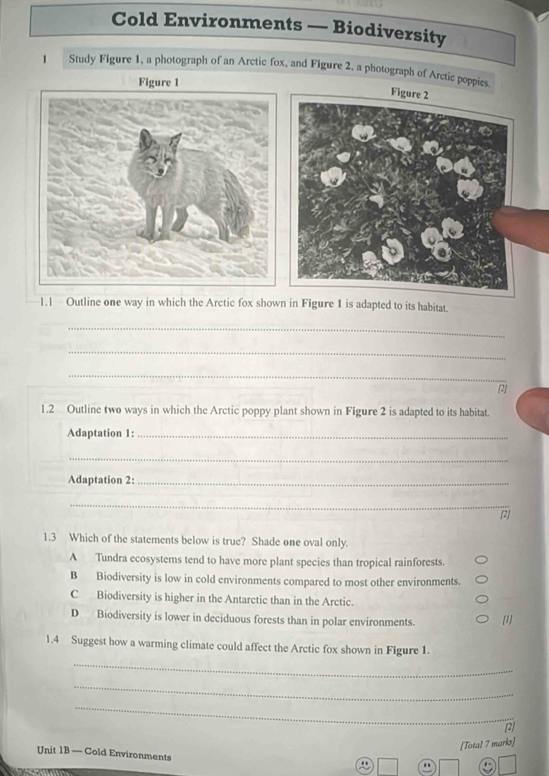 Cold Environments — Biodiversity
1 Study Figure 1, a photograph of an Arctic fox, and Figure 2, a photograph of Arctic poppies.
1.1 Outline one way in which the Arctic fox shown in Figure 1 is adapted to its habitat.
_
_
_
[2]
1.2 Outline two ways in which the Arctic poppy plant shown in Figure 2 is adapted to its habitat.
Adaptation 1:_
_
Adaptation 2:_
_
[2]
1.3 Which of the statements below is true? Shade one oval only.
A Tundra ecosystems tend to have more plant species than tropical rainforests.
B Biodiversity is low in cold environments compared to most other environments.
C Biodiversity is higher in the Antarctic than in the Arctic.
D Biodiversity is lower in deciduous forests than in polar environments. [1]
1.4 Suggest how a warming climate could affect the Arctic fox shown in Figure 1.
_
_
_
[2]
[Total 7 marks]
Unit 1B — Cold Environments
a