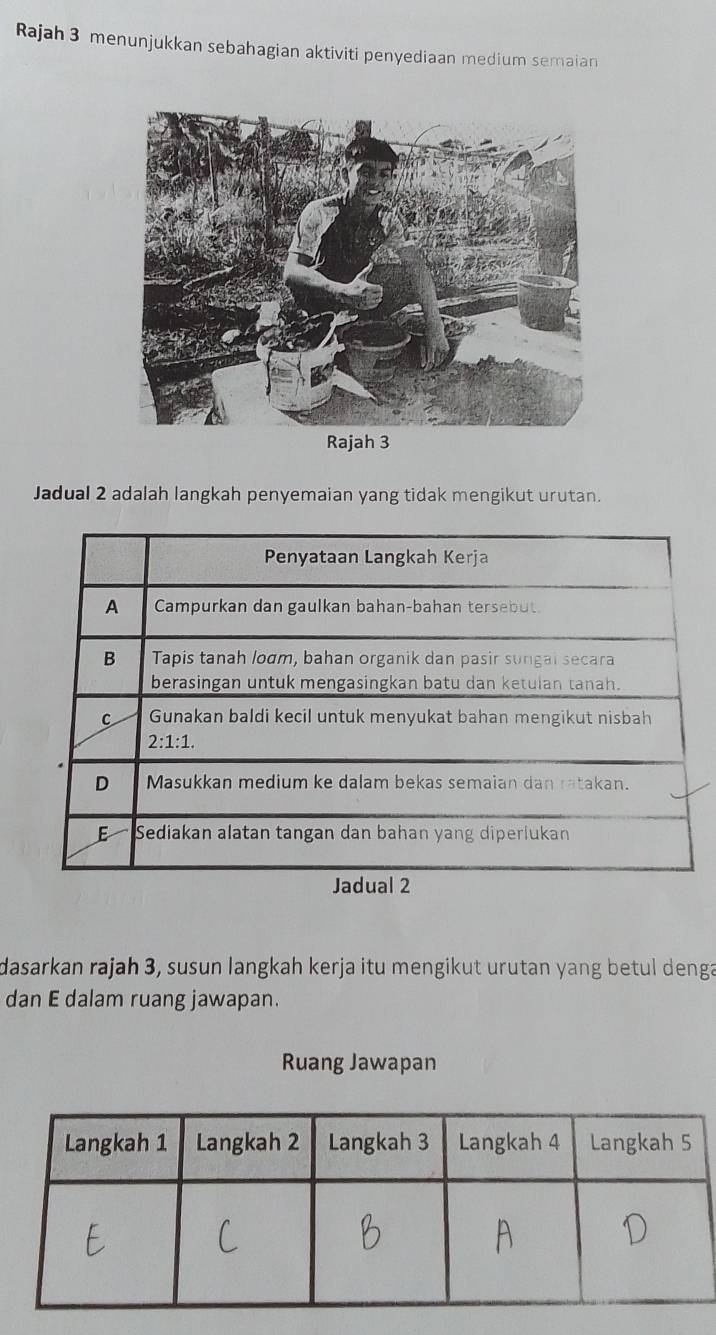 Rajah 3 menunjukkan sebahagian aktiviti penyediaan medium semaian
Jadual 2 adalah langkah penyemaian yang tidak mengikut urutan.
dasarkan rajah 3, susun langkah kerja itu mengikut urutan yang betul denga
dan E dalam ruang jawapan.
Ruang Jawapan