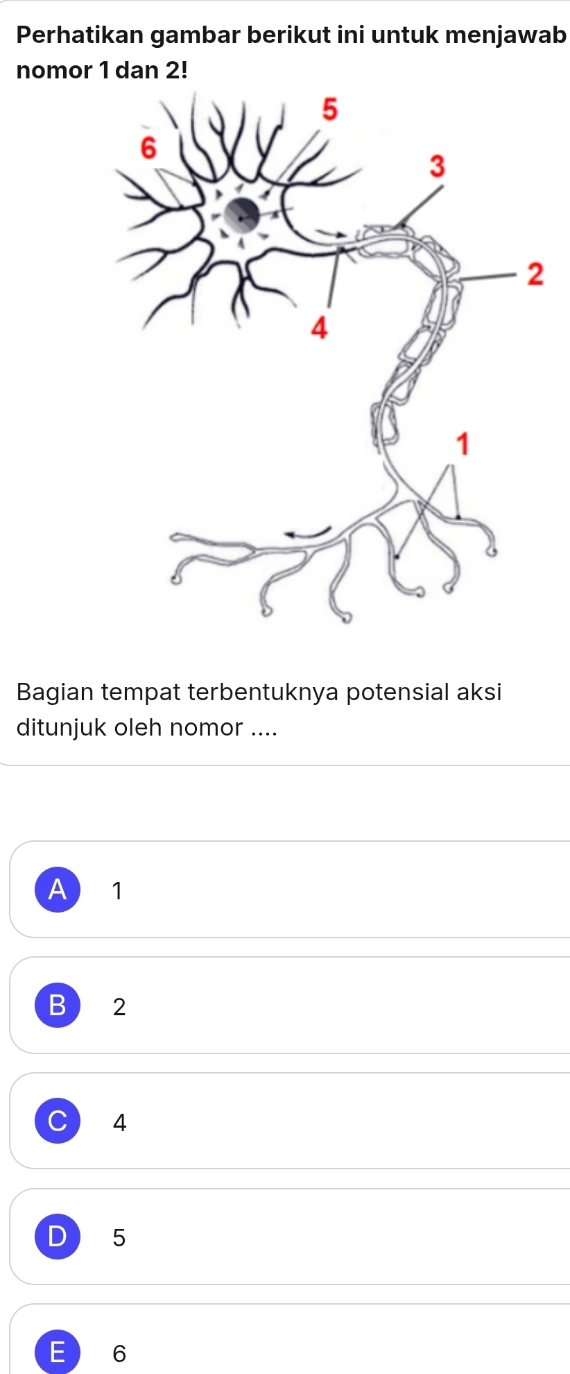 Perhatikan gambar berikut ini untuk menjawab
nomor 1 dan 2!
Bagian tempat terbentuknya potensial aksi
ditunjuk oleh nomor ....
A 1
B 2
4
D 5
F 6