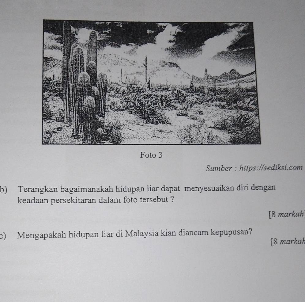 Foto 3 
Sumber : https://sediksi.com 
b) Terangkan bagaimanakah hidupan liar dapat menyesuaikan diri dengan 
keadaan persekitaran dalam foto tersebut ? 
[8 markah 
c) Mengapakah hidupan liar di Malaysia kian diancam kepupusan? 
[8 markah