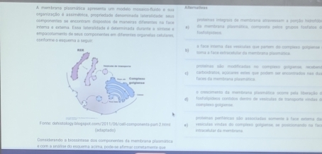 A membraso plasmática apresenta um modelo mossico-fluído e sua Alternativas
orgontração é assimétrica, propriedade denominada iateralidade: seus proteinas integrais de membrana atravessam a perção hidrofóbe
componentes se encoróram dispostos de maneiras diferentes ná face a) da membrana plasmática, composta pelos grupos fosfalos de
imera e extera. Essa lateralidade é determinada durante a síntose e fusfolipideos
conforme a esquema a seguir. empacotamento de seus componentes em diferentes organeías cetulares,
a face interna das vesículas que parter do compleao golgiense
D) soma a face extracadular da memtrana plasmática
proteras são modificadas no complexo golginse, recabens
e) carboidratos, açucares estes que poder ser encontrados nas due
faces da membrana plaimática
o crescmento da membrana plasmática ocorre pela liberação a
d) fosfolipídeos cordidos dentro de vesículas de iransporte vindas d
complexo golgiense
protemas periféricas são associadas somente a face extera da
Fonte: dehistology blogspok.comu'2011/06/cell-components part 2.htm| e) vesiculas vindas do complexo golgiense, se posicionando na fão
(adaptado) Iniyacefular da membrana
Cossiderando a brossistese dos componeres da membrana plasmática
e com a análise do esquema acima, pode-se afirmar cometamente que