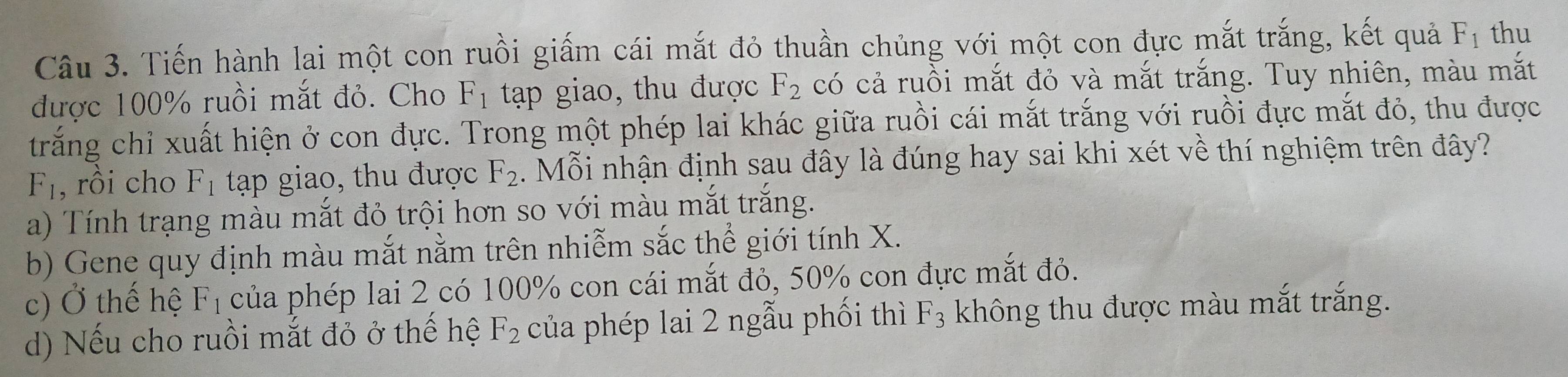 Tiến hành lai một con ruồi giấm cái mắt đỏ thuần chủng với một con đực mắt trắng, kết quả F_1 thu
được 100% ruồi mắt đỏ. Cho F_1 tạập giao, thu được F_2 có cả ruồi mắt đỏ và mắt trắng. Tuy nhiên, màu mắt
trắng chỉ xuất hiện ở con đực. Trong một phép lai khác giữa ruồi cái mắt trắng với ruồi đực mắt đỏ, thu được
F_1 , rồi cho F_1 tạp giao, thu được F_2. Mỗi nhận định sau đây là đúng hay sai khi xét về thí nghiệm trên đây?
a) Tính trạng màu mắt đỏ trội hơn so với màu mắt trắng.
b) Gene quy định màu mắt nằm trên nhiễm sắc thể giới tính X.
c) Ở thế hệ F_1 của phép lai 2 có 100% con cái mắt đỏ, 50% con đực mắt đỏ.
d) Nếu cho ruồi mắt đỏ ở thế hệ F_2 của phép lai 2 ngẫu phối thì F_3 không thu được màu mắt trắng.