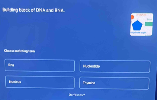 Building block of DNA and RNA.
pf spepehade
base
ory Boke suga
Choose matching term
Rna Nucleotide
Nucleus Thymine
Don't know?