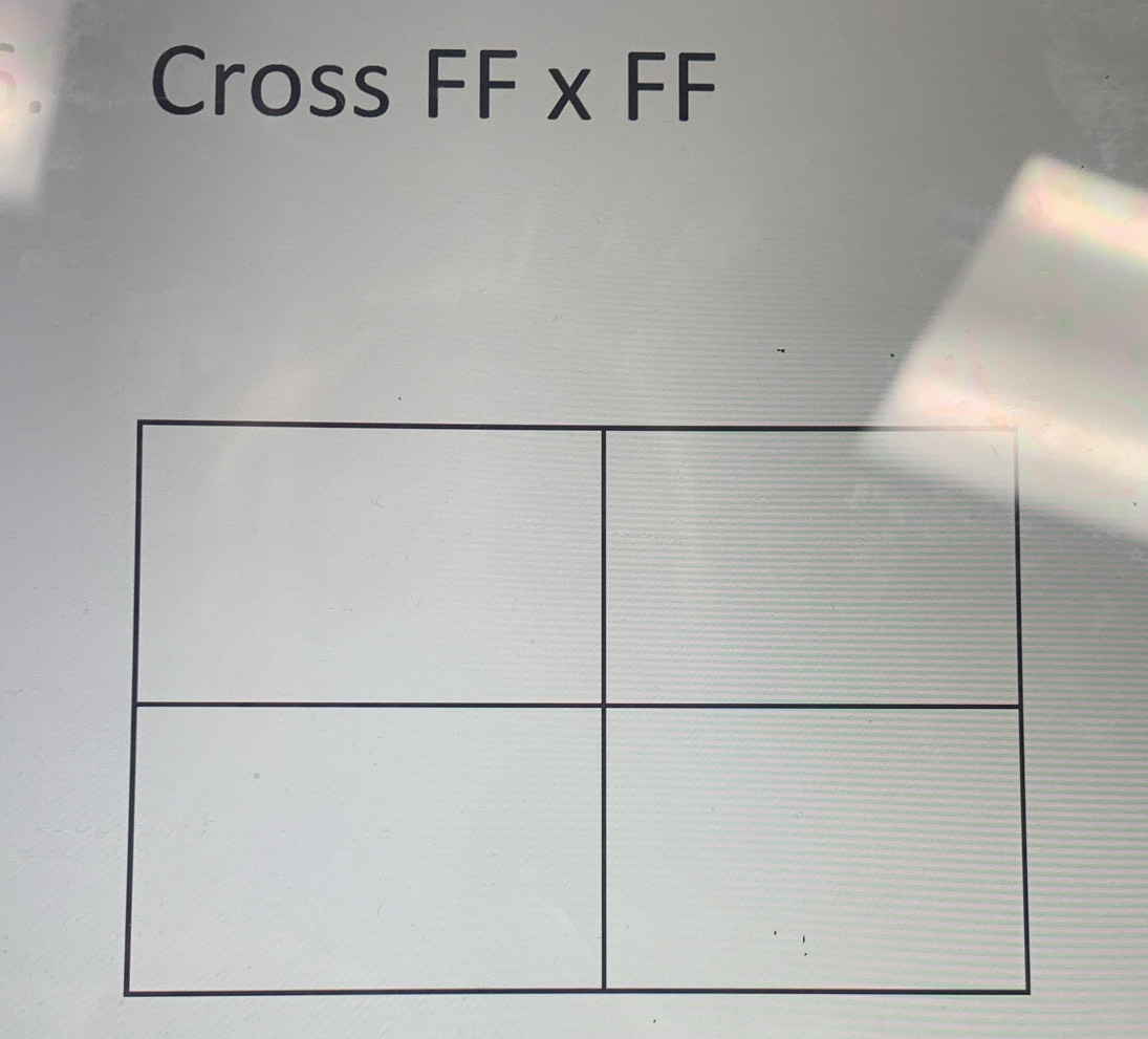 Cross FF x FF