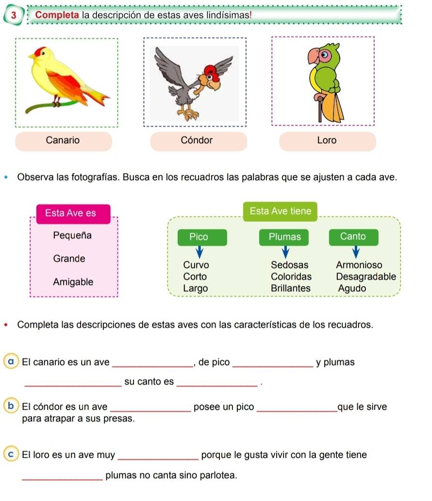 Completa la descripción de estas aves lindísimas! 
Canario Cóndor Loro 
Observa las fotografías. Busca en los recuadros las palabras que se ajusten a cada ave. 
Esta Ave es Esta Ave tiene 
Pequeña Pico Plumas Canto 
Grande Curvo Sedosas Armonioso 
Corto Coloridas Desagradable 
Amigable Largo Brillantes Agudo 
Completa las descripciones de estas aves con las características de los recuadros. 
α El canario es un ave _, de pico_ y plumas 
_su canto es 
_. 
b El cóndor es un ave _posee un pico_ que le sirve 
para atrapar a sus presas. 
c El loro es un ave muy _porque le gusta vivir con la gente tiene 
_plumas no canta sino parlotea.