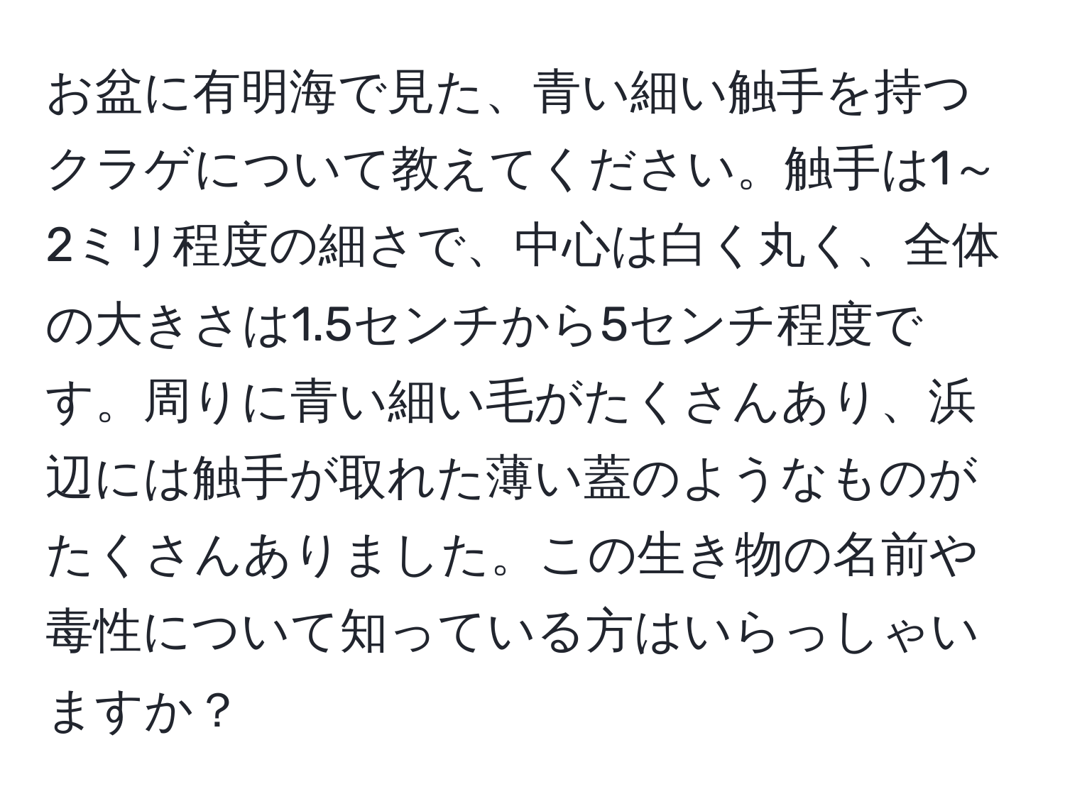 お盆に有明海で見た、青い細い触手を持つクラゲについて教えてください。触手は1～2ミリ程度の細さで、中心は白く丸く、全体の大きさは1.5センチから5センチ程度です。周りに青い細い毛がたくさんあり、浜辺には触手が取れた薄い蓋のようなものがたくさんありました。この生き物の名前や毒性について知っている方はいらっしゃいますか？