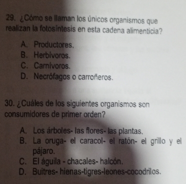 ¿Cómo se llaman los únicos organismos que
realizan la fotosíntesis en esta cadena alimenticia?
A. Productores.
B. Herbivoros.
C. Carnívoros.
D. Necrófagos o carroñeros.
30. ¿Cuáles de los siguientes organismos son
consumidores de primer orden?
A. Los árboles- las flores- las plantas.
B. La oruga- el caracol- el ratón- el grillo y el
pájaro.
C. El águila - chacales- halcón.
D. Buitres- hienas-tigres-leones-cocodrilos.