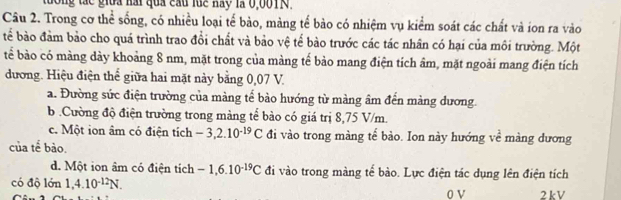 dong tác giữa hài quả cầu luể hay là 0,001N.
Câu 2. Trong cơ thể sống, có nhiều loại tế bào, màng tế bào có nhiệm vụ kiểm soát các chất và ion ra vào
tể bào đảm bảo cho quá trình trao đổi chất và bảo vệ tế bảo trước các tác nhân có hại của môi trường. Một
btể bảo có màng dày khoảng 8 nm, mặt trong của màng tế bảo mang điện tích âm, mặt ngoài mang điện tích
dương. Hiệu điện thể giữa hai mặt này bằng 0,07 V.
a. Đường sức điện trường của màng tế bào hướng từ màng âm đến màng dương.
b .Cường độ điện trường trong màng tể bào có giá trị 8,75 V/m.
c. Một ion âm có điện tích -3, 2.10^(-19)C đi vào trong màng tế bào. Ion này hướng về màng dương
của tể bào.
d. Một ion âm có điện tích -1, 6.10^(-19)C đi vào trong màng tế bào. Lực điện tác dụng lên điện tích
có độ lớn 1, 4.10^(-12)N. 2kV
0 V