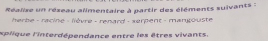 Réalise un réseau alimentaire à partir des éléments suivants : 
herbe - racine - lièvre - renard - serpent - mangouste 
xplique l'interdépendance entre les êtres vivants.