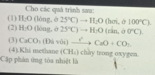 Cho các quá trình sau: 
(1) H_2O (lỏng, ở 25°C)to H_2O(hoi,sigma 100°C). 
(2) H_2O (lóng, ở 25°C)to H_2O(rhat an,hat sigma  0°C). 
(3) CaCO_3 (Đá vôi) xrightarrow I°CaO+CO_2. 
(4).Khi methane (CH_4) chay trong oxygen. 
Cặp phản ứng tỏa nhiệt là