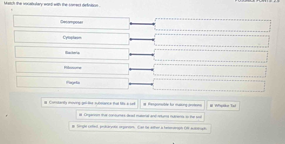 Match the vocabulary word with the correct definition .
Decomposer
Cytoplasm
Bacteria
Ribosome
Flagella
# Constantly moving gel-like substance that fills a cell # Responsible for making proteins # Whiplike Tail
# Organism that consumes dead material and returns nutrients to the soil
: Single celled, prokaryotic organism. Can be either a heterotroph OR autotroph.