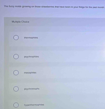 The fuzzy molds growing on those strawbernies that have been in your fridge for the past month
Multiple Choice
thermophiles
psychrophiles
mesophiles
psychrotrophs
hyperthermophiles