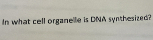 In what cell organelle is DNA synthesized?