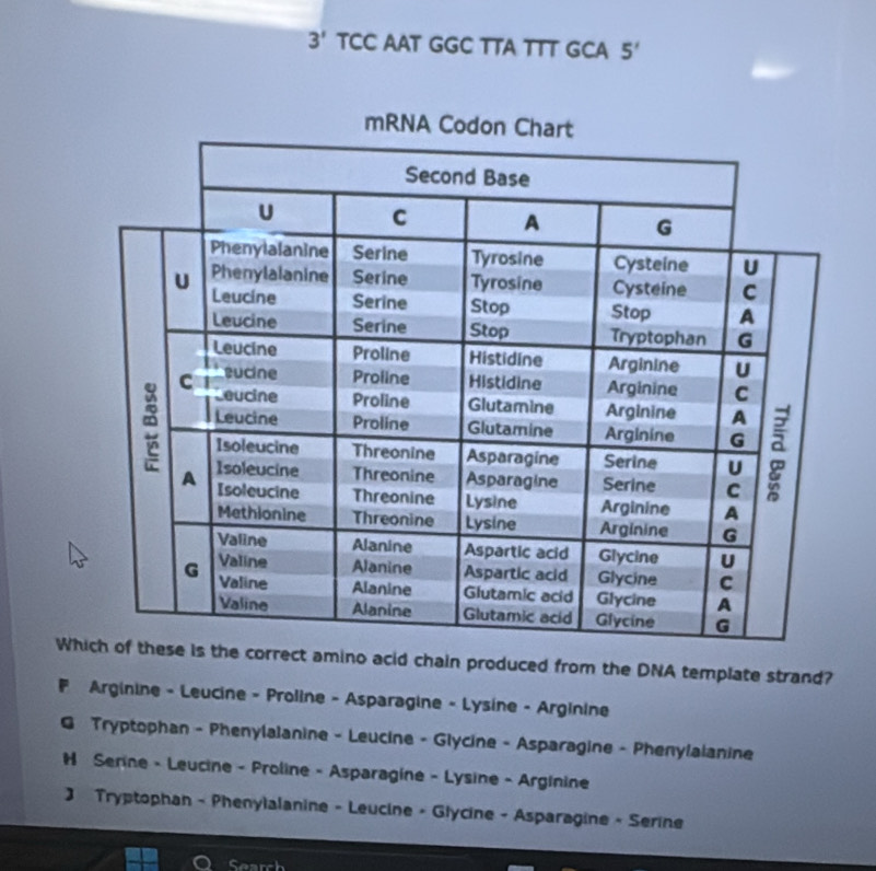 3' TCC AAT GGC TTA TTT GCA 5' 
Wt amino acid chain produced from the DNA template strand?
# Arginine - Leucine - Proline - Asparagine - Lysine - Arginine
G Tryptophan - Phenylalanine - Leucine - Glycine - Asparagine - Phenylalanine
# Serine - Leucine - Proline - Asparagine - Lysine - Arginine
3 Tryptophan - Phenylalanine - Leucine - Glycine - Asparagine - Serine
Search