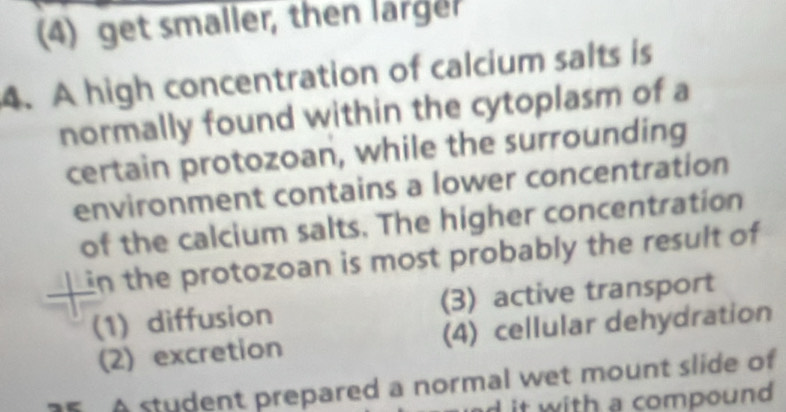 (4) get smaller, then larger
4. A high concentration of calcium salts is
normally found within the cytoplasm of a
certain protozoan, while the surrounding
environment contains a lower concentration
of the calcium salts. The higher concentration
__in the protozoan is most probably the result of
(1) diffusion (3) active transport
(2) excretion (4) cellular dehydration
A student prepared a normal wet mount slide of
d it with a compound .