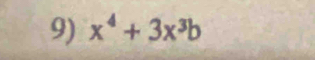 x^4+3x^3b