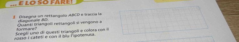 LO SO FARE! 
1 Disegna un rettangolo ABCD e traccia la 
diagonale BD. 
Quanti triangoli rettangoli si vengono a 
formare? 
Scegli uno di questi triangoli e colora con il 
rosso i cateti e con il blu l’ipotenusa.