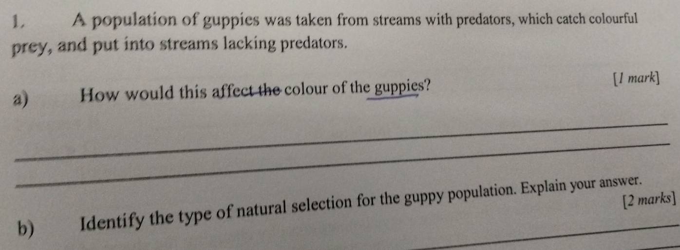 A population of guppies was taken from streams with predators, which catch colourful 
prey, and put into streams lacking predators. 
a) How would this affect the colour of the guppies? [l mark] 
_ 
_ 
[2 marks] 
b) Identify the type of natural selection for the guppy population. Explain your answer.