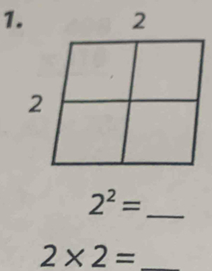 2^2= _ 
2* 2= _