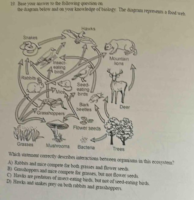 Base your answer to the following question on
the diagram below and on your knowledge of biology. The diagram represents a food web
Hawks
Snakes
Mountain
Insect- lions
eating
birds
Seed-
Mice eating
birds
Bark
beetles Deer
Grasshoppers
Flower seeds
Grasses Mushrooms Bacteria Trees
Which statement correctly describes interactions between organisms in this ecosystem?
A) Rabbits and mice compete for both grasses and flower seeds.
B) Grasshoppers and mice compete for grasses, but not flower seeds.
C) Hawks are predators of insect-eating birds, but not of seed-eating birds.
D) Hawks and snakes prey on both rabbits and grasshoppers.