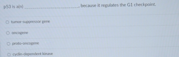 p53 is a(n) _, because it regulates the G1 checkpoint.
tumor-suppressor gene
oncogene
proto-oncagene
cyclin-dependent kinase