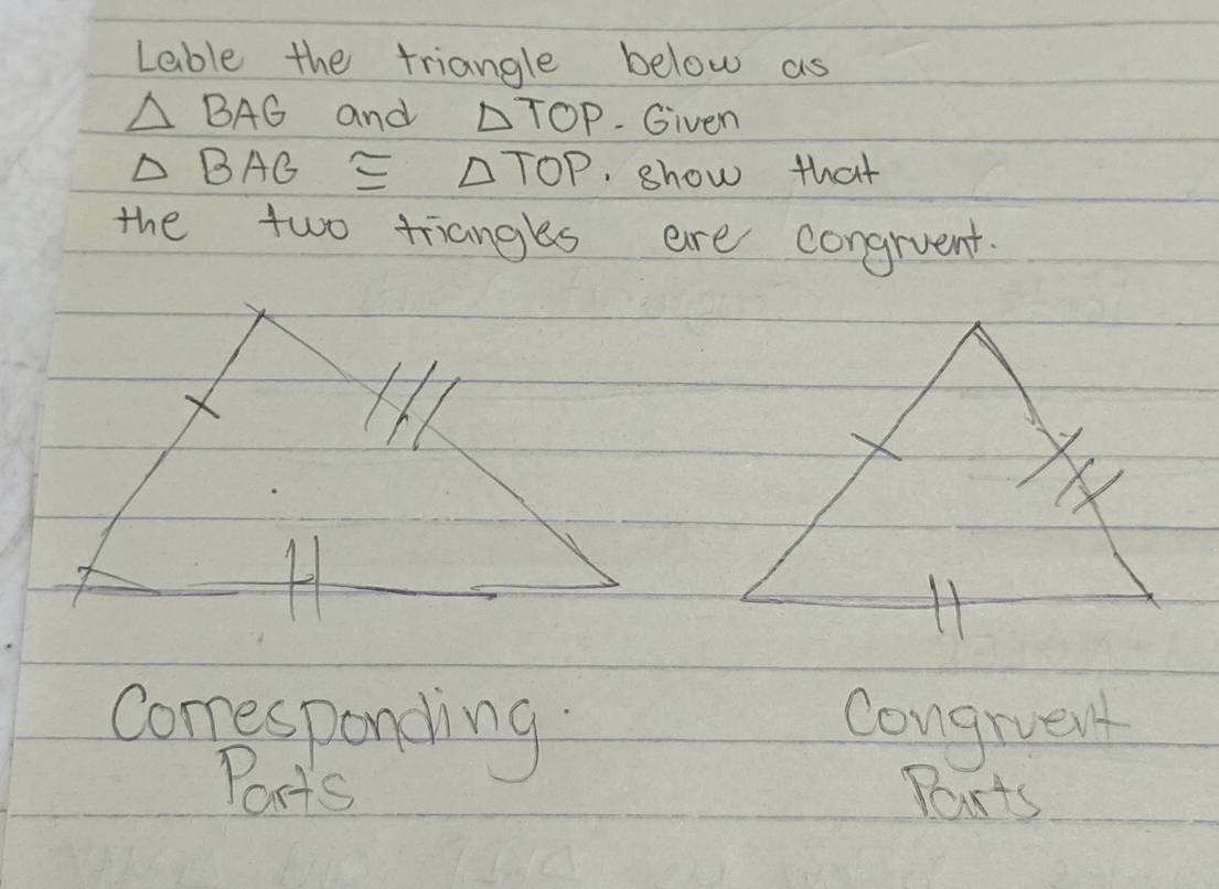 Lable the triangle below as
△ BAG and △ TOP - Given
△ BAG≌ △ TOP show that 
the two triangles are congruent. 
comesponding congrvent 
Ports Ports