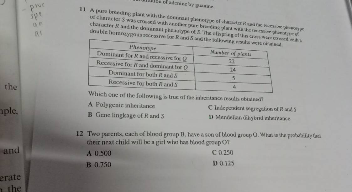 stution of adenine by guanine.
11 A pure breeding plant with the dominant phenotype of character R and the recessive phenotype
of character S was crossed with another pure breeding plant with the recessive phenotype of
character R and the dominant phenotype of S. The offspring of this cross wer with a
double homozygous recessive for R 
the
llowing is true of the inheritance results obtained?
A Polygenic inheritance C Independent segregation of R and S
ple, B Gene lingkage of R and S D Mendelian dihybrid inheritance
12 Two parents, each of blood group B, have a son of blood group O. What is the probability that
their next child will be a girl who has blood group O?
and A 0.500 C 0.250
B 0.750 D 0.125
erate
the