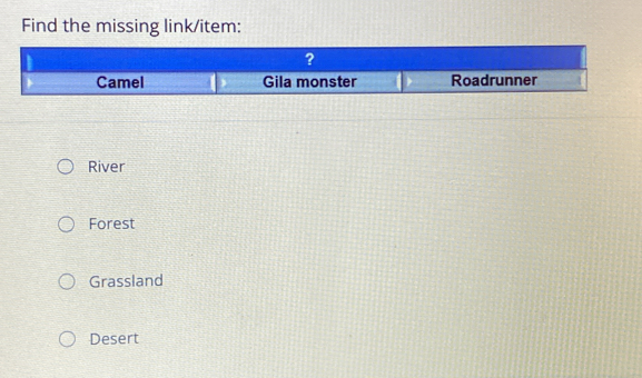 Find the missing link/item:
River
Forest
Grassland
Desert