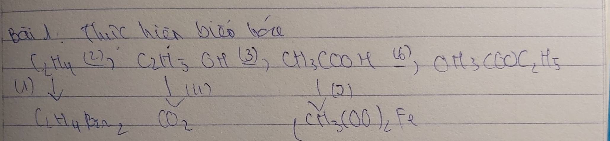 Bāi thrc hién biāo hoce
C_2H_4(2)_7 C_2H_5OH (_ 3)_2CH_3COOH_ 16),OH_3COOC_2H_5
() I (un 1(0)
C_1H_4Brr_2 CO_2
(CH_3COO)_2Fe