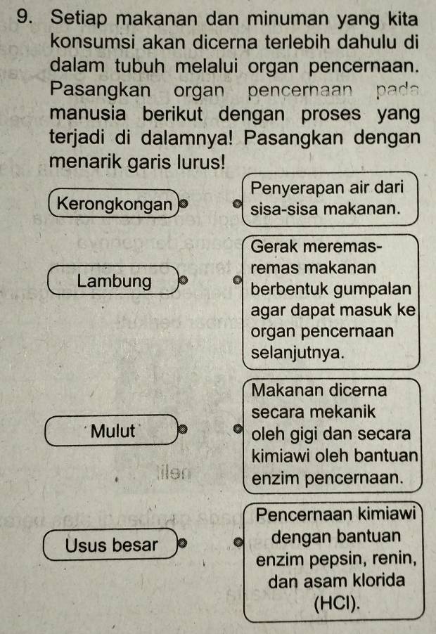 Setiap makanan dan minuman yang kita 
konsumsi akan dicerna terlebih dahulu di 
dalam tubuh melalui organ pencernaan. 
Pasangkan organ pençernaan 
manusia berikut dengan proses yang 
terjadi di dalamnya! Pasangkan dengan 
menarik garis lurus! 
Penyerapan air dari 
Kerongkongan sisa-sisa makanan. 
Gerak meremas- 
remas makanan 
Lambung 
berbentuk gumpalan 
agar dapat masuk ke 
organ pencernaan 
selanjutnya. 
Makanan dicerna 
secara mekanik 
Mulut oleh gigi dan secara 
kimiawi oleh bantuan 
enzim pencernaan. 
Pencernaan kimiawi 
Usus besar dengan bantuan 
enzim pepsin, renin, 
dan asam klorida 
(HCl).