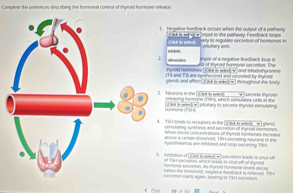 Solved: Complete the sentences describing the hormonal control of ...