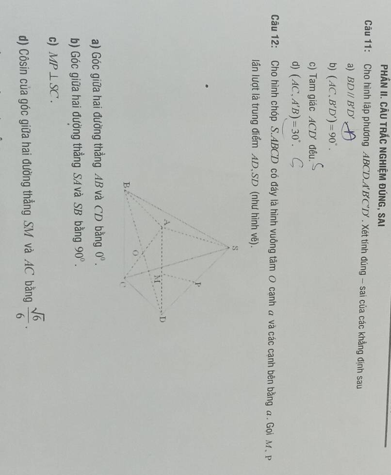 PhÁN II. CÂU tRÁC nghiệm đúnG, Sai 
Câu 11: Cho hình lập phương ABCD. A'B'C'D'. Xét tính đúng - sai của các khẳng định sau 
a) BDparallel B'D'
b) (AC,B'D')=90°. 
c) Tam giác ACD ' đều. 
d) (AC,A'B)=30°. . 
Câu 12: Cho hình chóp S. ABCD có đáy là hình vuông tâm 0 cạnh đ và các cạnh bên bằng đ. Gọi M. P
lần lượt là trung điểm AD, SD (như hình vẽ). 
a) Góc giữa hai đường thẳng AB và CD bằng 0^0. 
b) Góc giữa hai đường thẳng SA và SB bằng 90^0. 
c) MP⊥ SC. 
d) Côsin của góc giữa hai đường thẳng SM và AC bằng  sqrt(6)/6 .